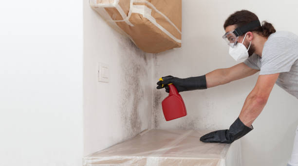 Professional Mold Removal technician working in Johnstown, NY